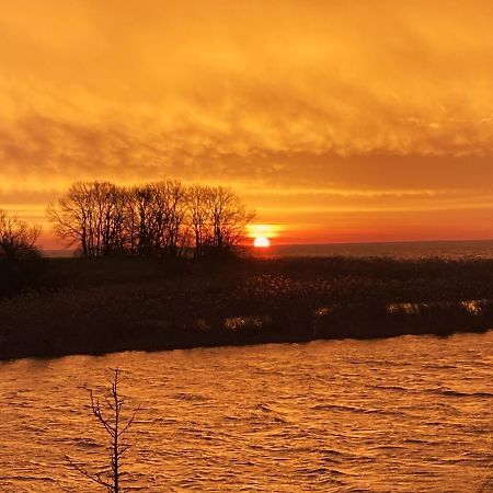 Auszeit Am Haffufer Daire Wilhelmshof Dış mekan fotoğraf