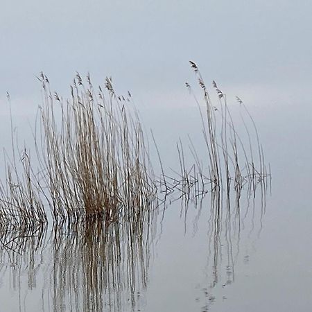 Auszeit Am Haffufer Daire Wilhelmshof Dış mekan fotoğraf