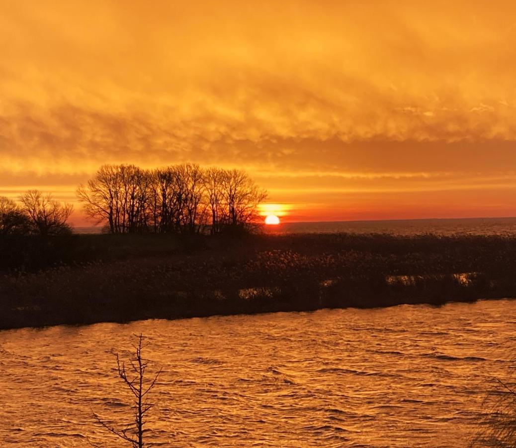 Auszeit Am Haffufer Daire Wilhelmshof Dış mekan fotoğraf
